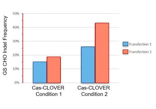 Demeetra - Blog - CAS-CLOVER: The clean alternative to CRISPR/Cas9 for bioprocess - Figure 3