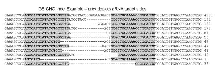 Demeetra - Blog - CAS-CLOVER: The clean alternative to CRISPR/Cas9 for bioprocess - Figure 4