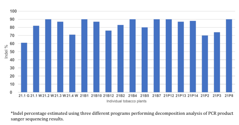 bar graph of our analysis of individual transgenic plants