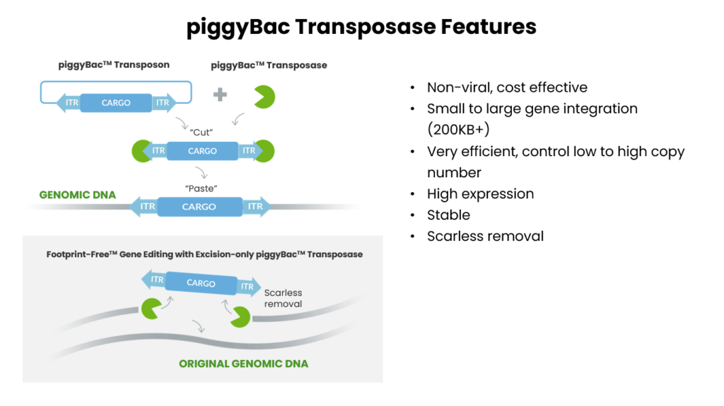 Demeetra - Blog - Use Demeetra's Toolbox for Simple Yeast Strain Development - Image 3