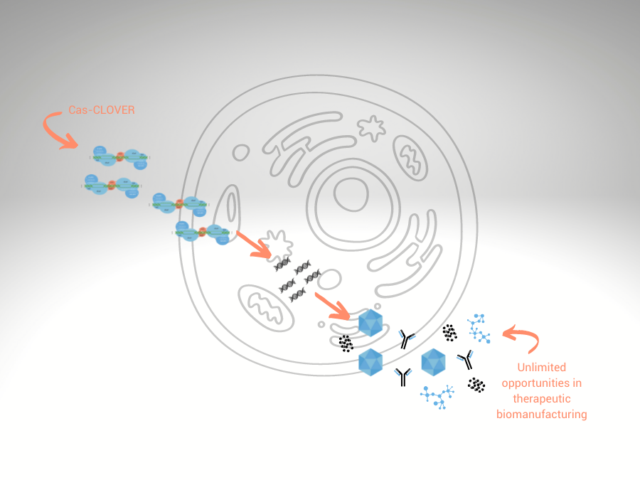 Demeetra - Blog - Cas-CLOVER Enables Unlimited Cell Bioprocessing Platform Improvement Opportunities