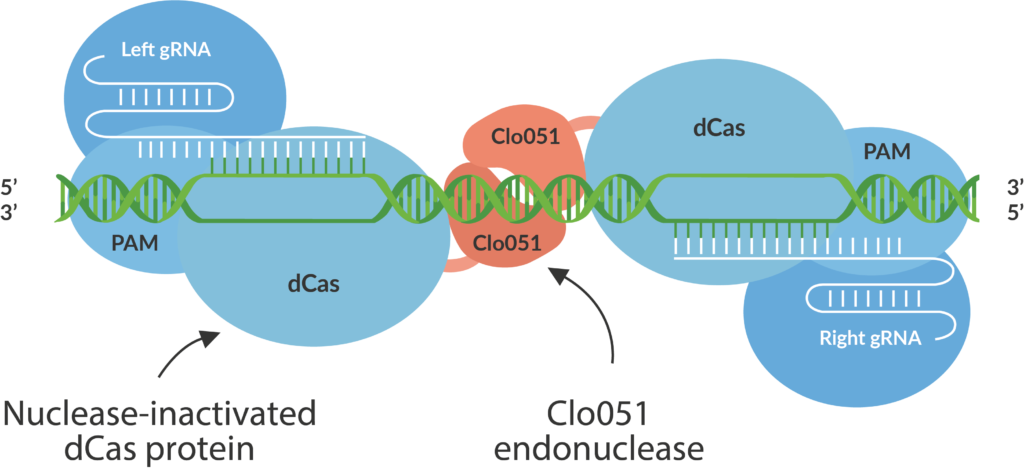 Cas-CLOVER: Unlimited Cell Bioprocessing Platform Improvement ...