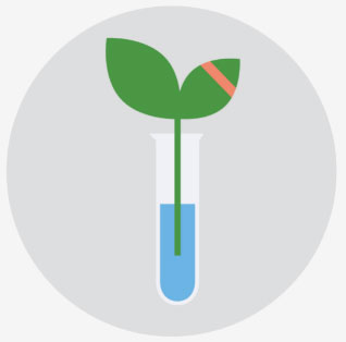 Demeetra AgBio Shop Plant Gene Editing Icon
