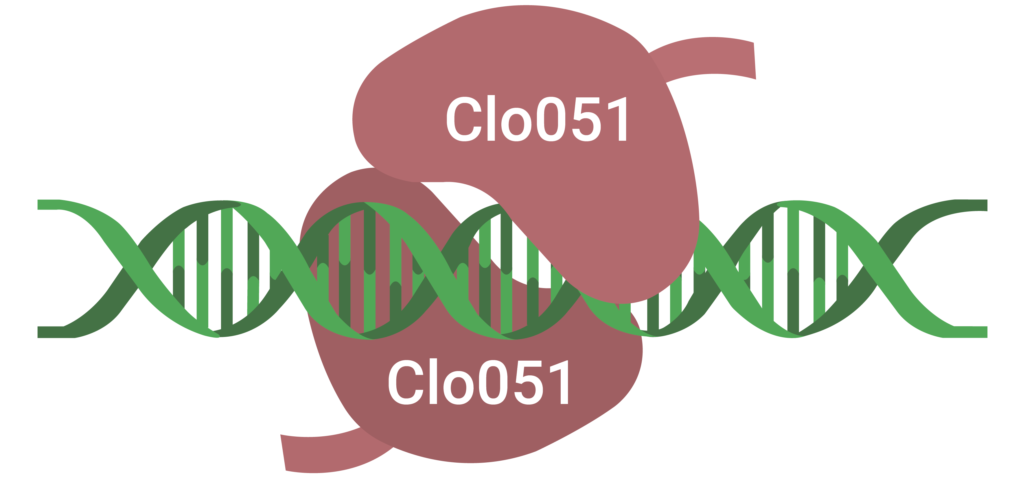 2D Clo051 with Labels