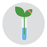 Plant Icon