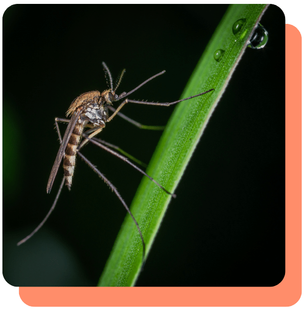 Demeetra 89th Annual Mosquito Control Association - 021323-1-min-2