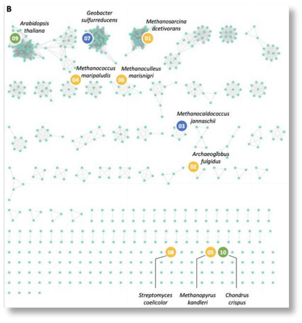 Metabolic-engineering Metabolic-engineering