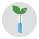 Plant-Icon