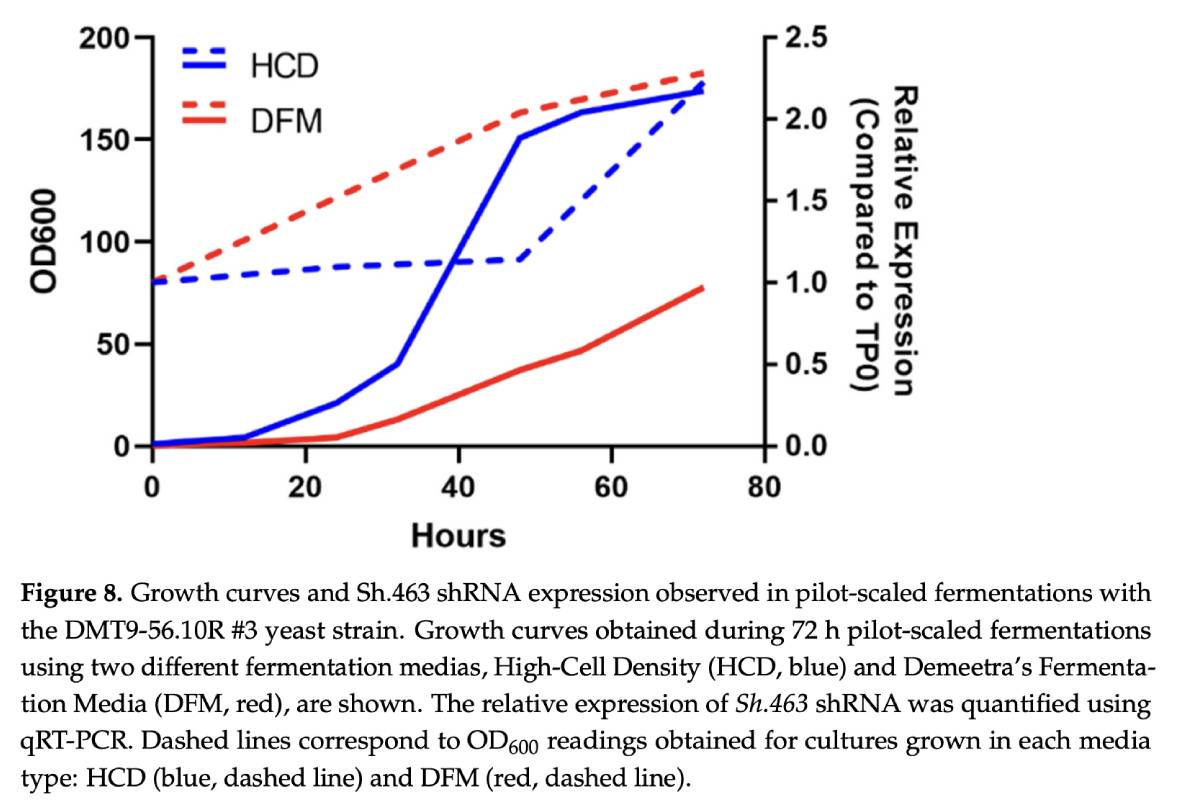 A chart showing growth curves during pilot-scaled fermentation using Demeetra’s Fermentation Media (DFM)