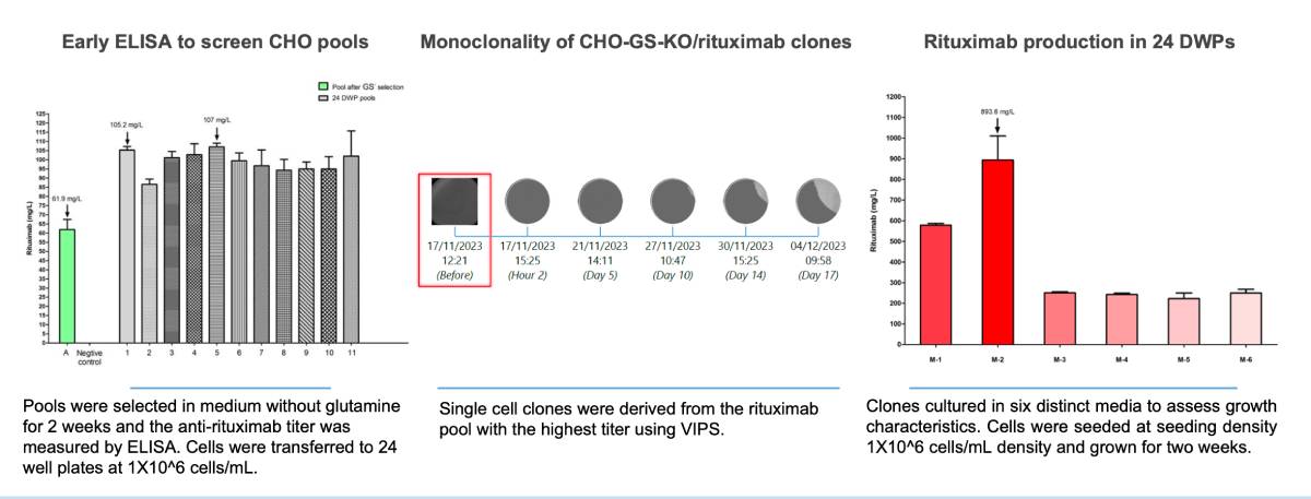 A series of graphs showing CHO-GS-KO/rituximab screening, monoclonality, and growth characteristics