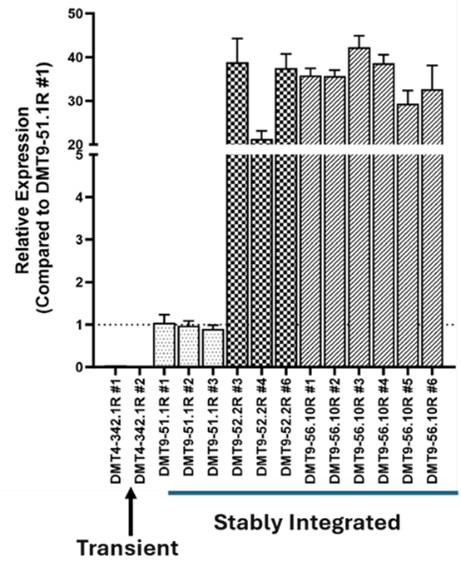 A bar graph showing shRNA expression levels by RT-qPCR at Demeetra near Lexington, KY