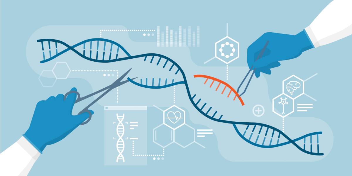 An illustration of hands performing gene editing on a DNA strand