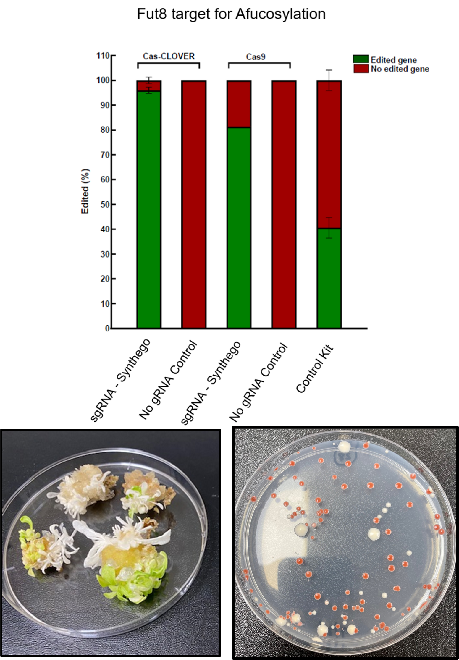 Cell-plants-yeast editing