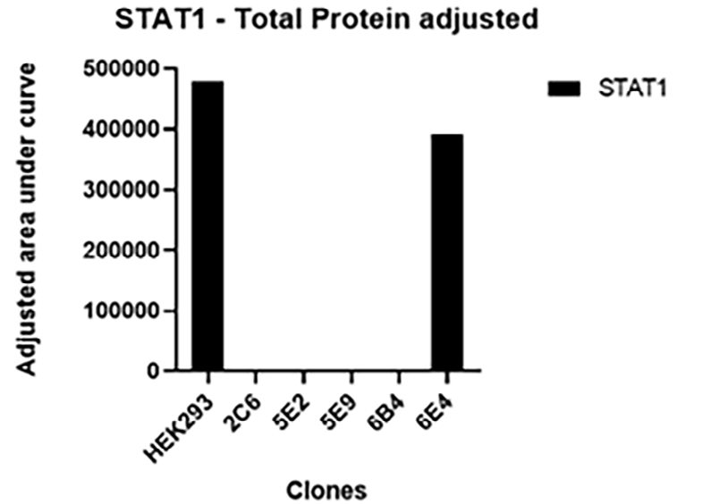  Editing efficiency in HEK293 cells was 92.3%, with larger deletions causing full knockout.