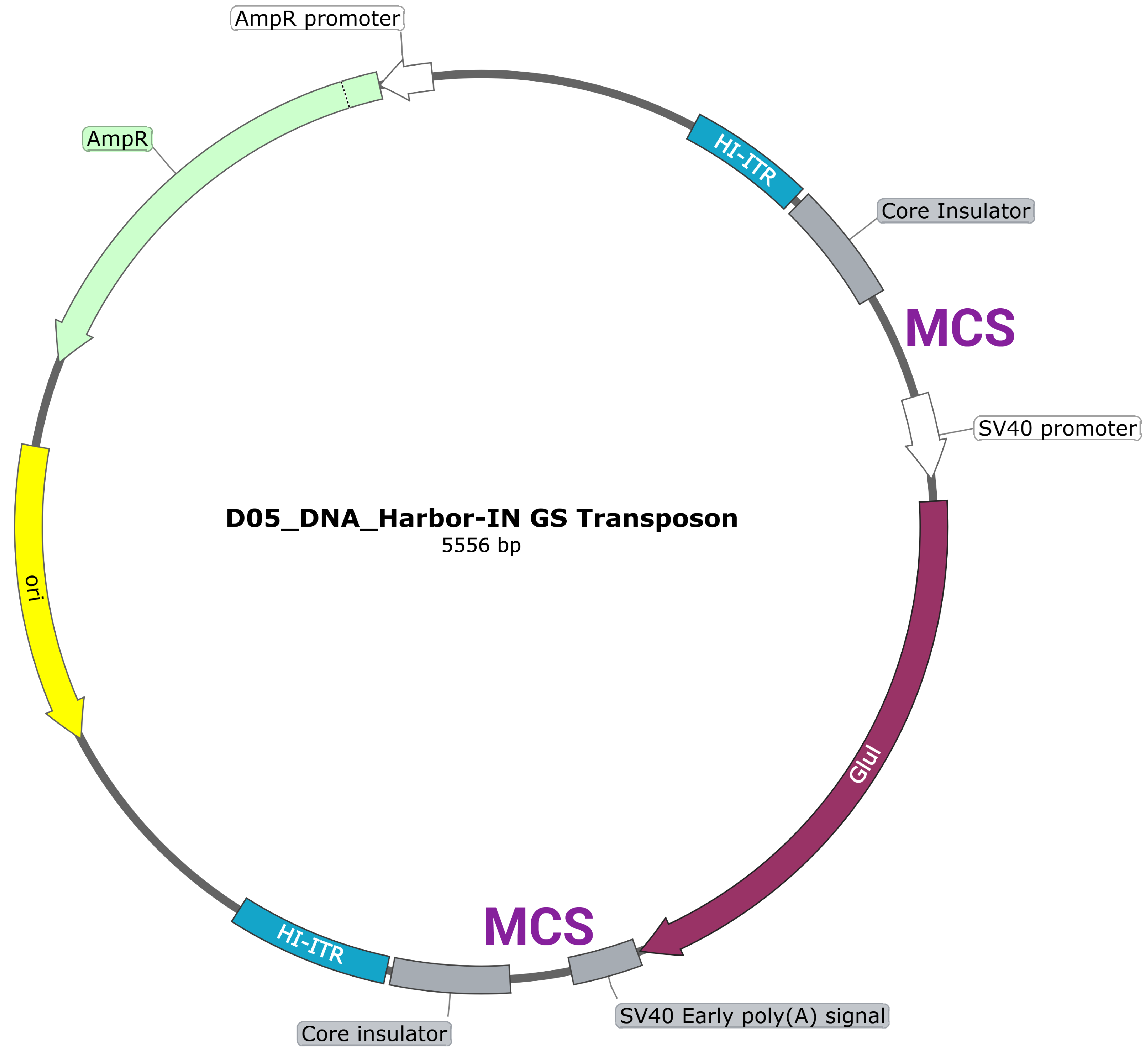 D05 map for website