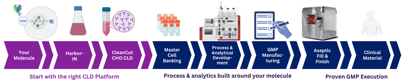 CLD-to-GMP-image-banner One Continuous Development Strategy